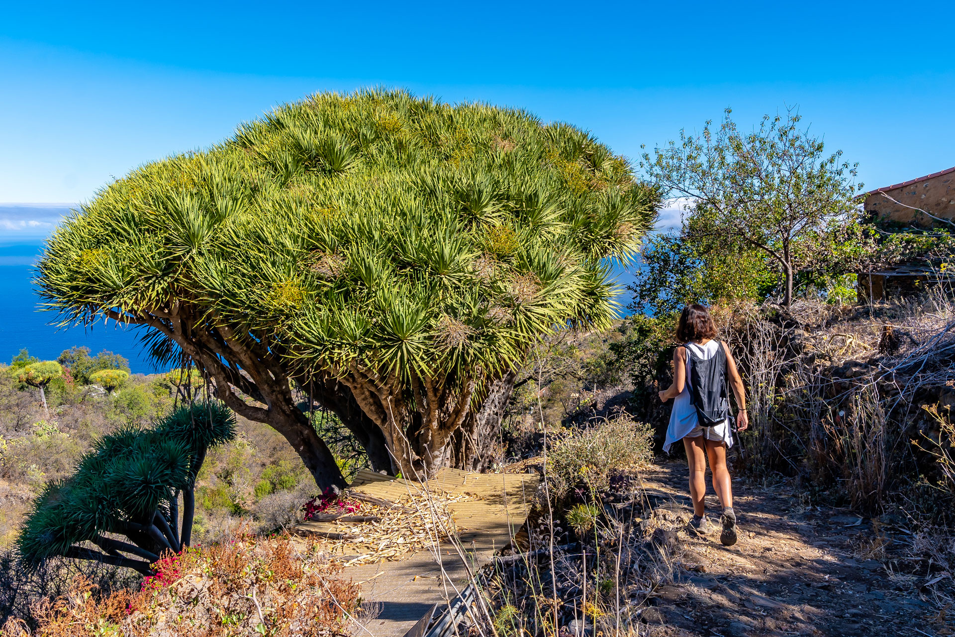 Sentieri escursionistici: trekking e natura a Laigueglia